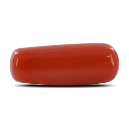 Red Coral (Moonga) - 4.22 Carat