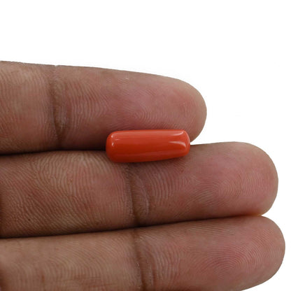Red Coral (Moonga) - 4.22 Carat