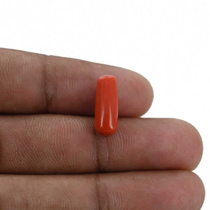 Red Coral (Moonga) - 4.22 Carat