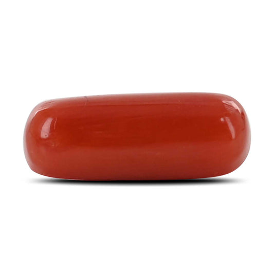 Red Coral (Moonga) - 4.48 Carat