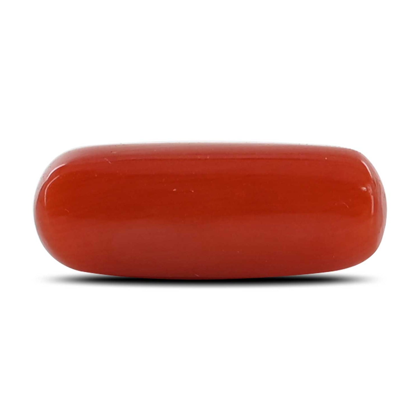 Red Coral (Moonga) - 4.48 Carat