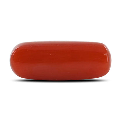 Red Coral (Moonga) - 4.48 Carat