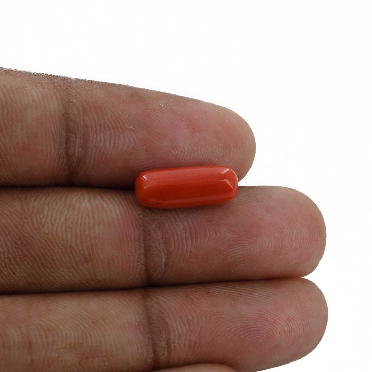 Red Coral (Moonga) - 4.48 Carat