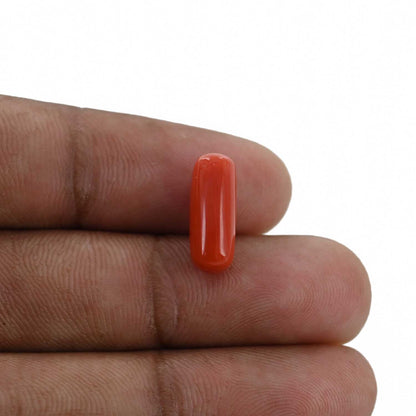Red Coral (Moonga) - 4.48 Carat