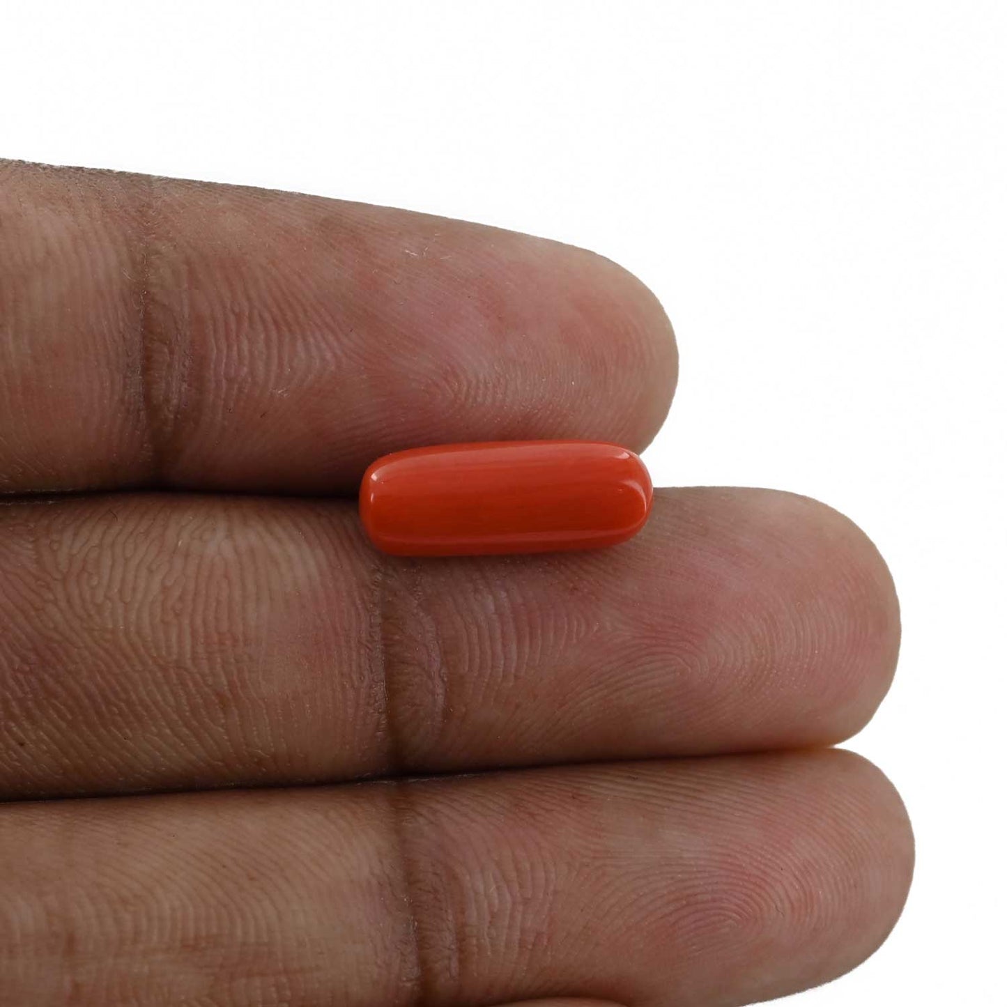 Red Coral (Moonga) - 4.48 Carat