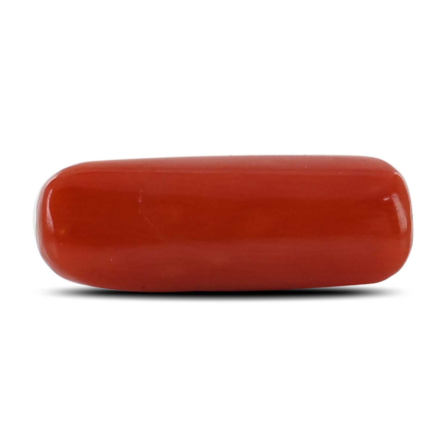 Red Coral (Moonga) - 4.23 Carat