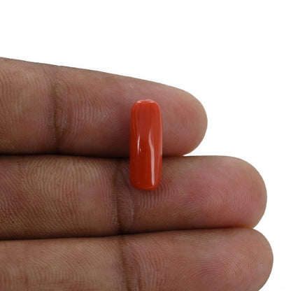 Red Coral (Moonga) - 4.23 Carat