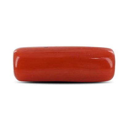 Red Coral (Moonga) - 4.18 Carat
