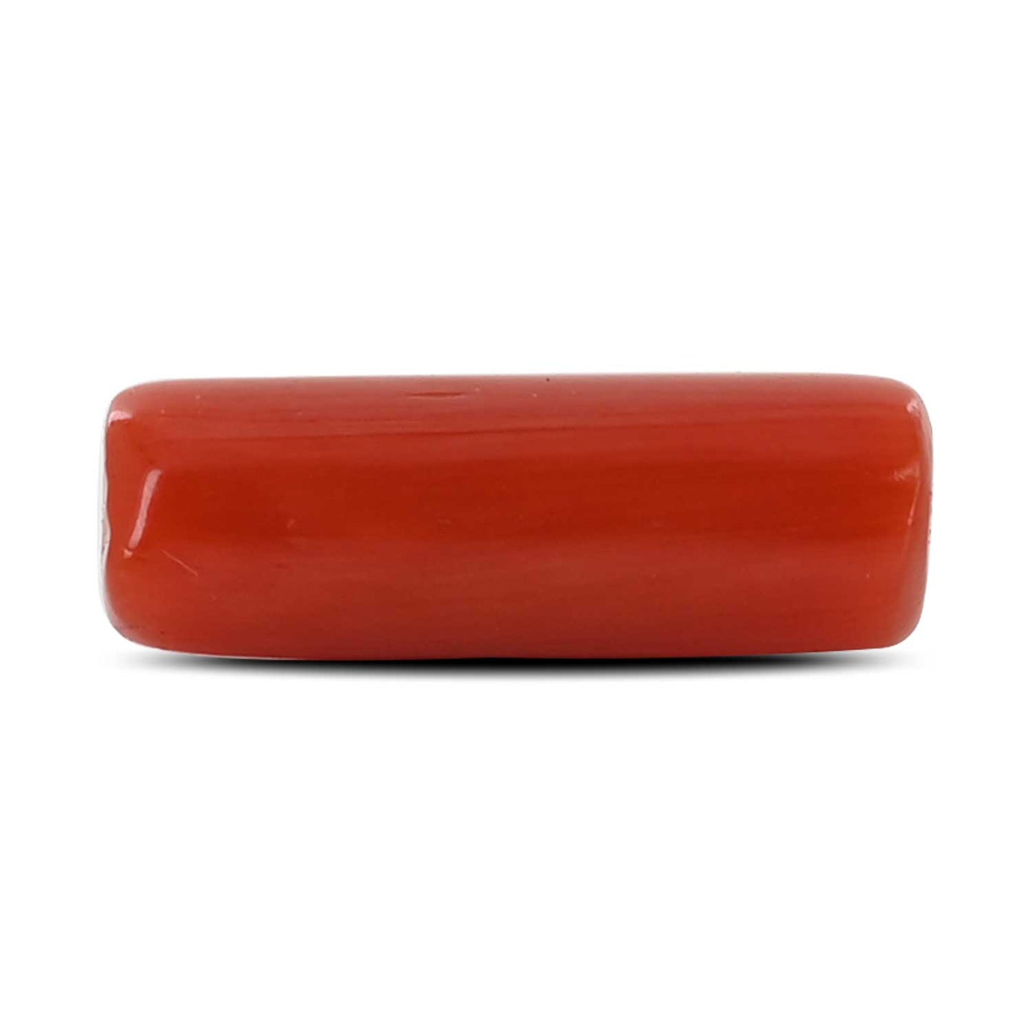 Red Coral (Moonga) - 4.18 Carat