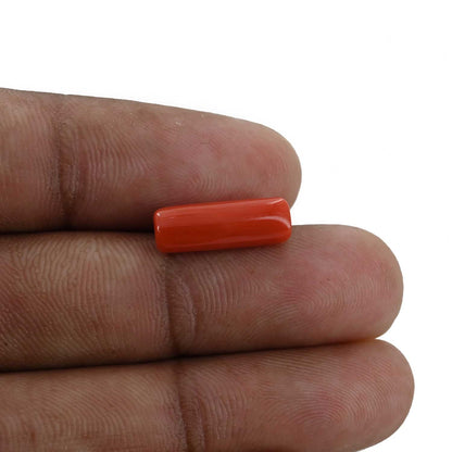Red Coral (Moonga) - 4.18 Carat