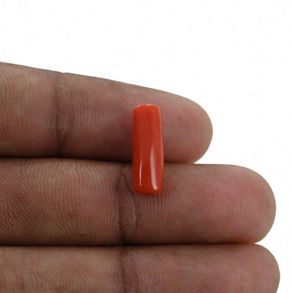 Red Coral (Moonga) - 4.18 Carat