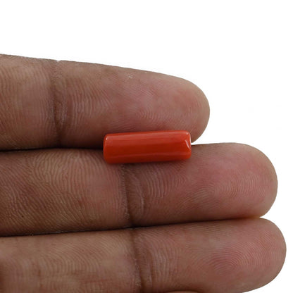 Red Coral (Moonga) - 4.18 Carat