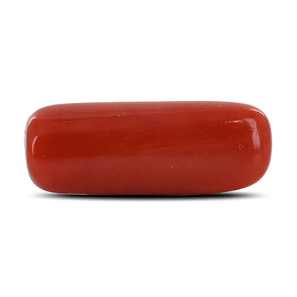 Red Coral (Moonga) - 4.18 Carat