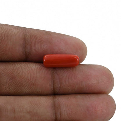 Red Coral (Moonga) - 4.18 Carat
