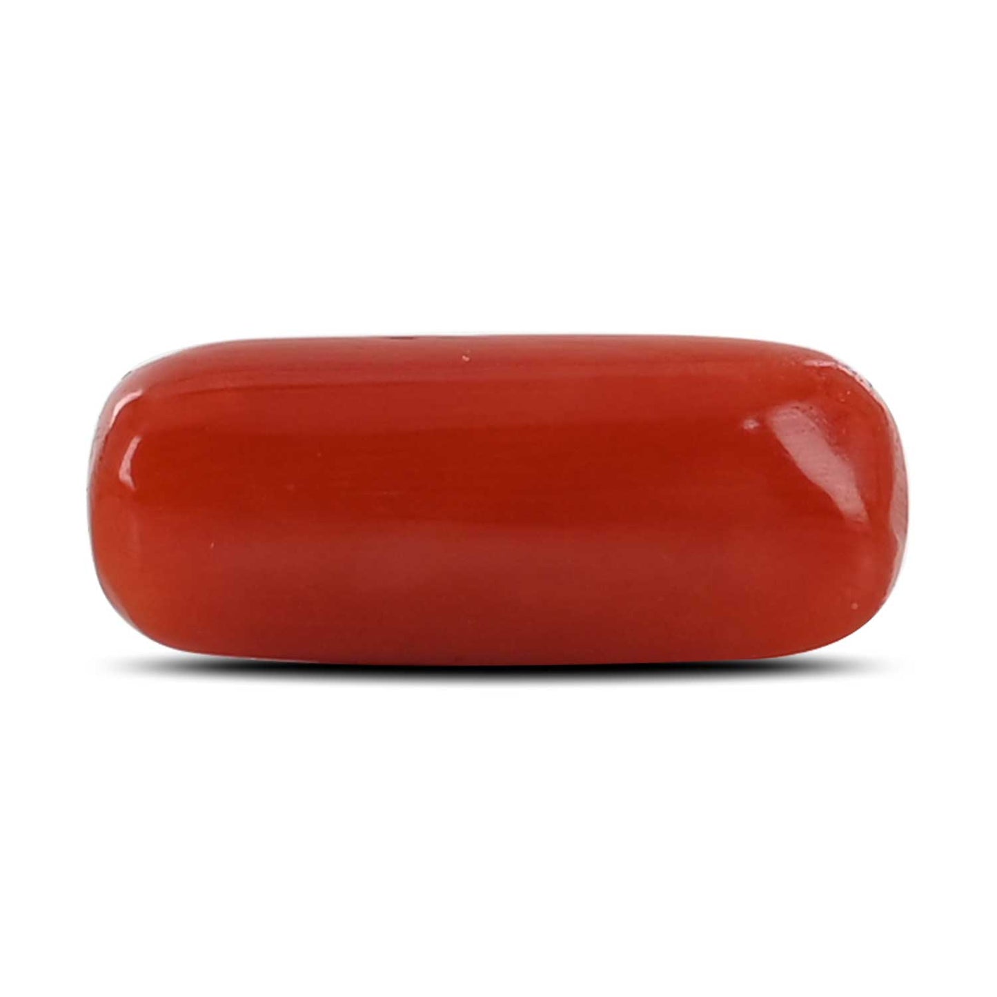 Red Coral (Moonga) - 3.87 Carat