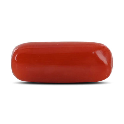 Red Coral (Moonga) - 3.87 Carat