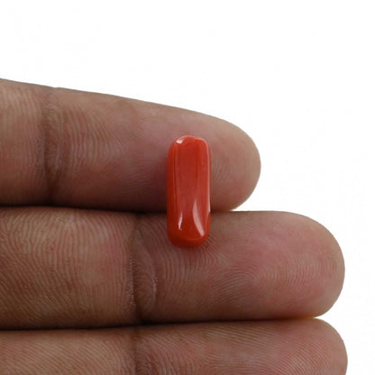 Red Coral (Moonga) - 3.87 Carat