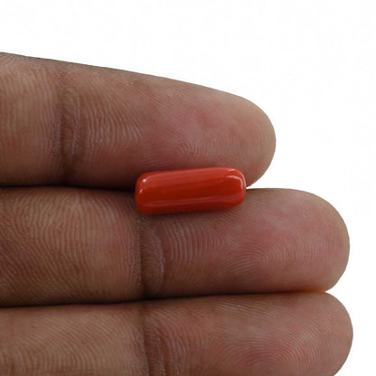 Red Coral (Moonga) - 3.87 Carat