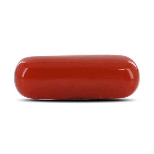 Red Coral (Moonga) - 4.35 Carat