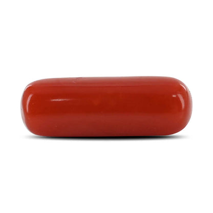 Red Coral (Moonga) - 4.35 Carat