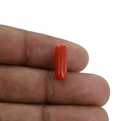 Red Coral (Moonga) - 4.35 Carat