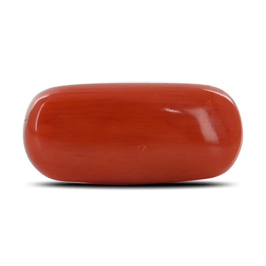 Red Coral (Moonga) - 3.88 Carat