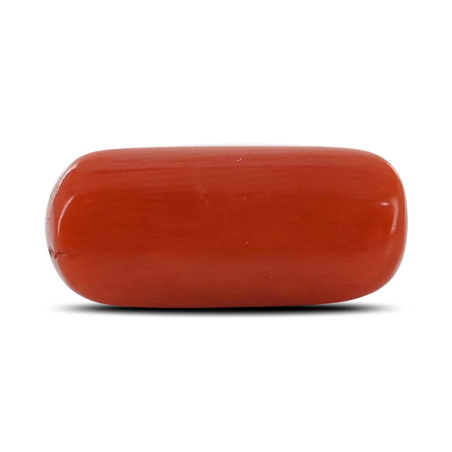 Red Coral (Moonga) - 3.88 Carat