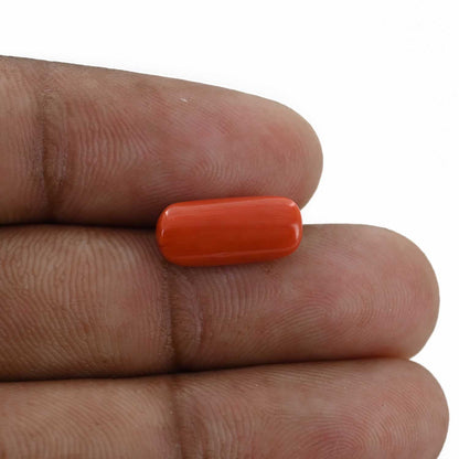 Red Coral (Moonga) - 3.88 Carat
