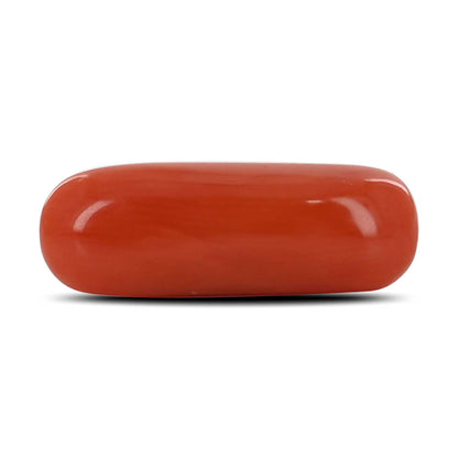 Red Coral (Moonga) - 4.07 Carat