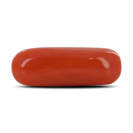 Red Coral (Moonga) - 4.07 Carat