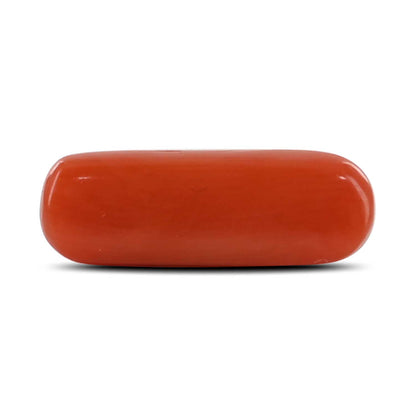 Red Coral (Moonga) - 4.07 Carat
