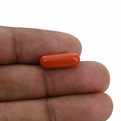 Red Coral (Moonga) - 4.07 Carat