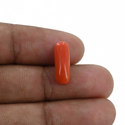 Red Coral (Moonga) - 4.07 Carat