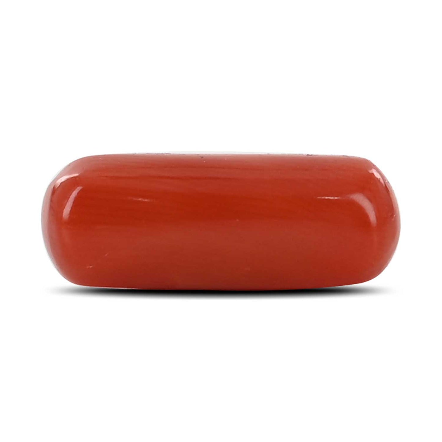 Red Coral (Moonga) - 4.46 Carat