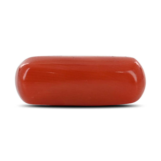 Red Coral (Moonga) - 4.46 Carat