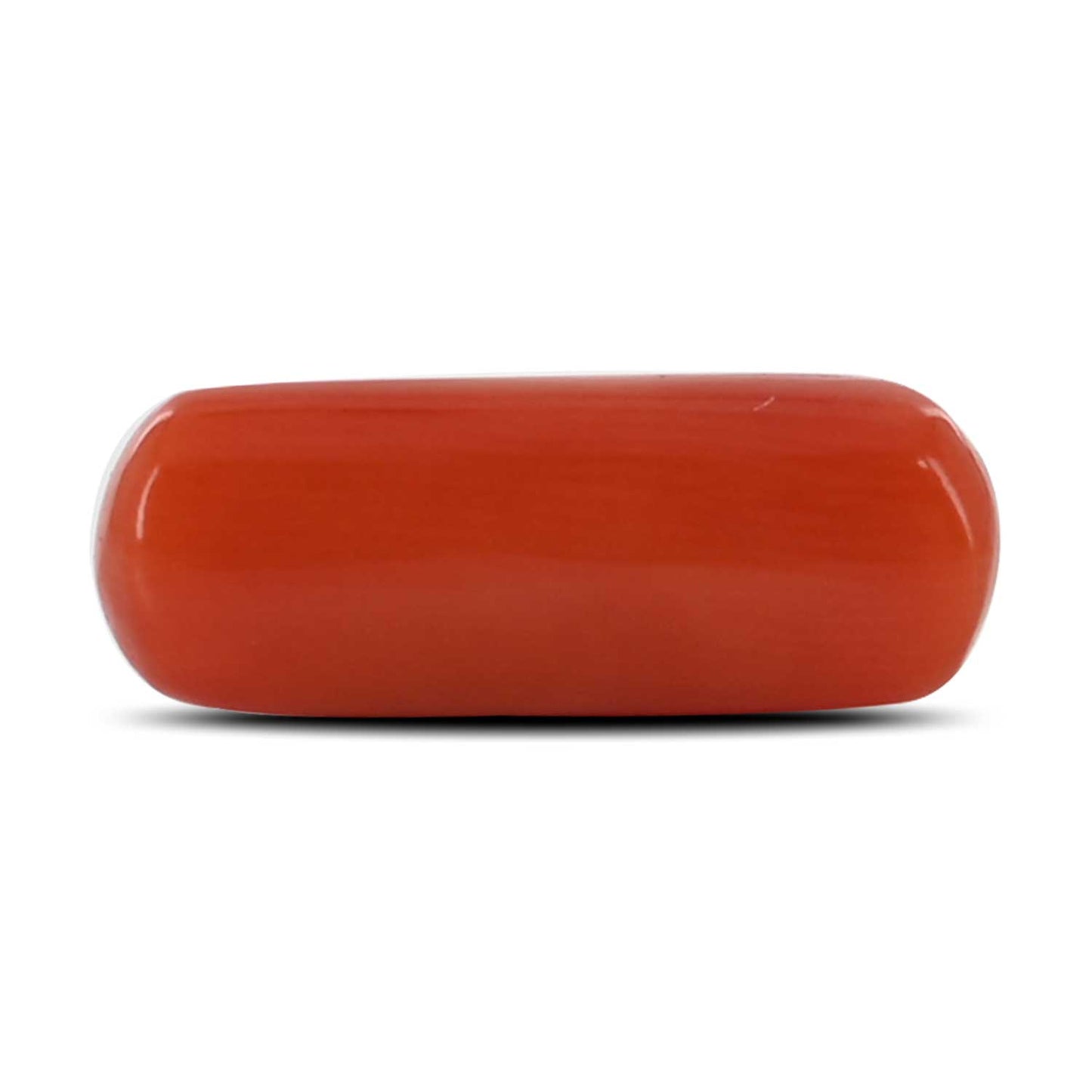 Red Coral (Moonga) - 4.46 Carat