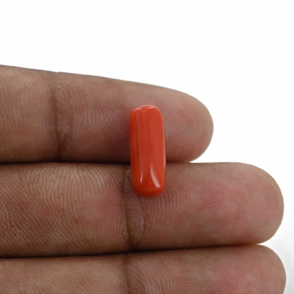 Red Coral (Moonga) - 4.46 Carat