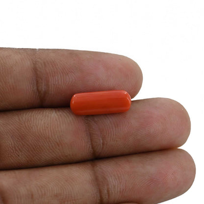 Red Coral (Moonga) - 4.46 Carat