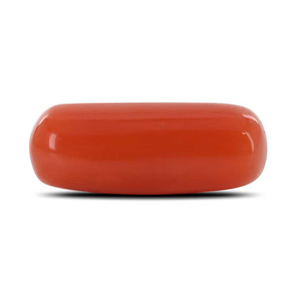 Red Coral (Moonga) - 3.83 Carat