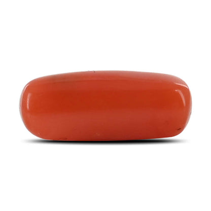 Red Coral (Moonga) - 3.83 Carat