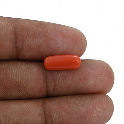 Red Coral (Moonga) - 3.83 Carat