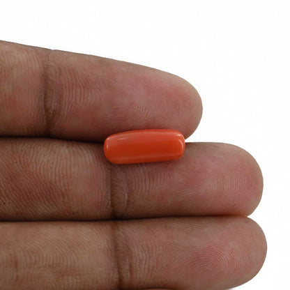Red Coral (Moonga) - 3.83 Carat