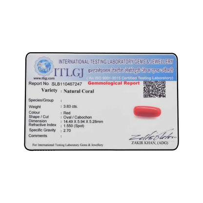 Red Coral (Moonga) - 3.83 Carat