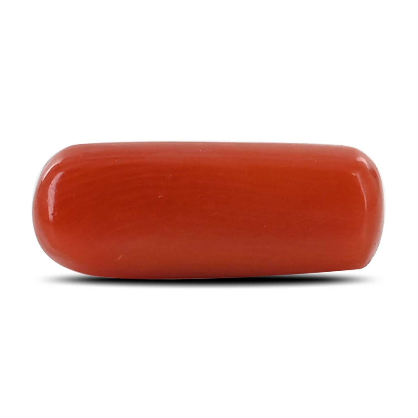 Red Coral (Moonga) - 4.33 Carat