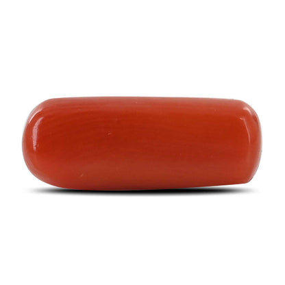 Red Coral (Moonga) - 4.33 Carat