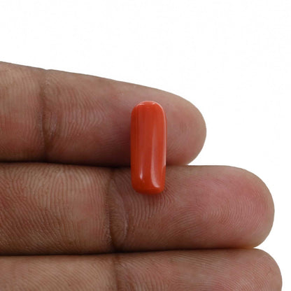 Red Coral (Moonga) - 4.33 Carat