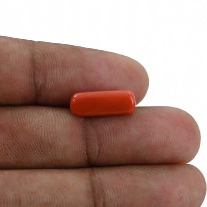 Red Coral (Moonga) - 4.33 Carat