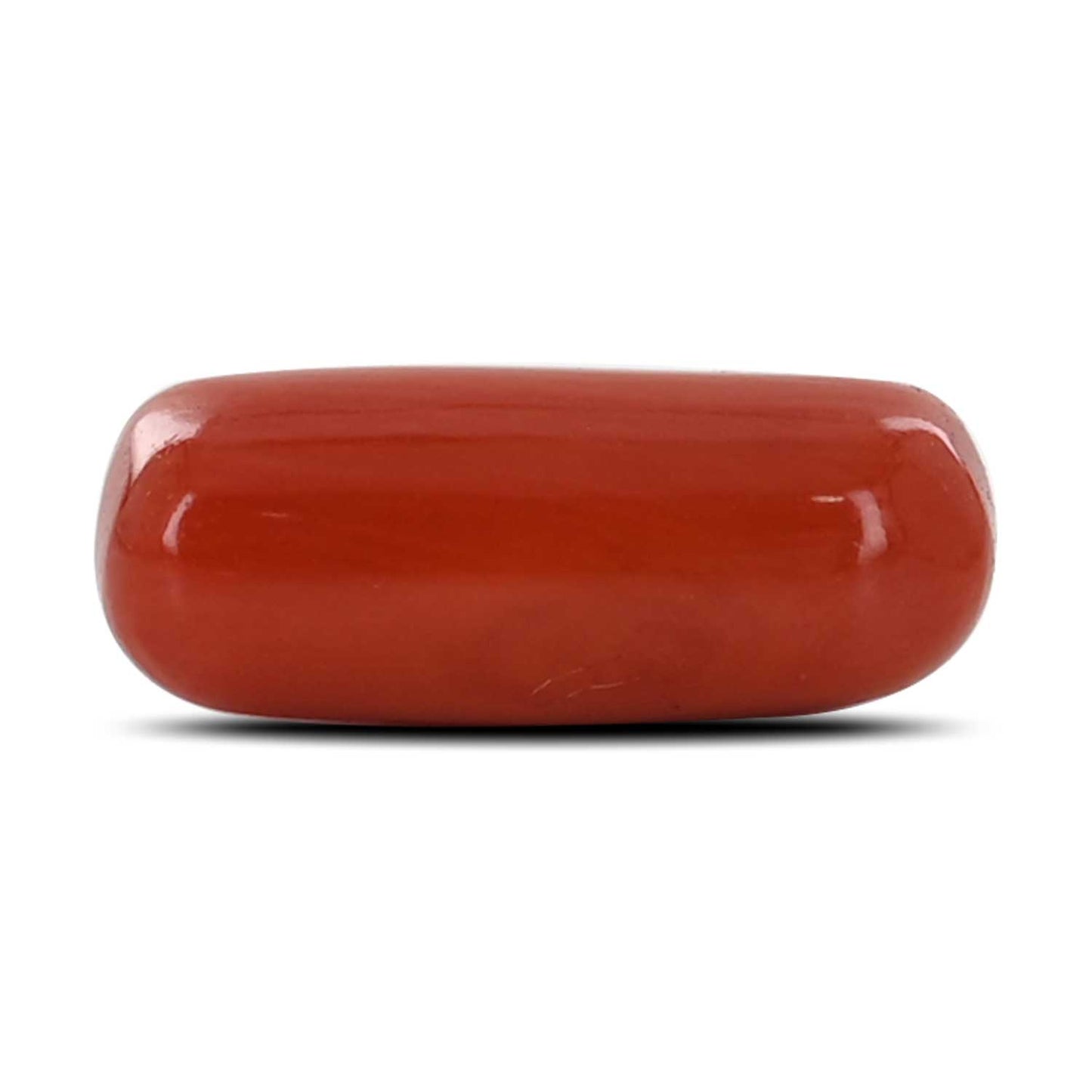 Red Coral (Moonga) - 4.34 Carat