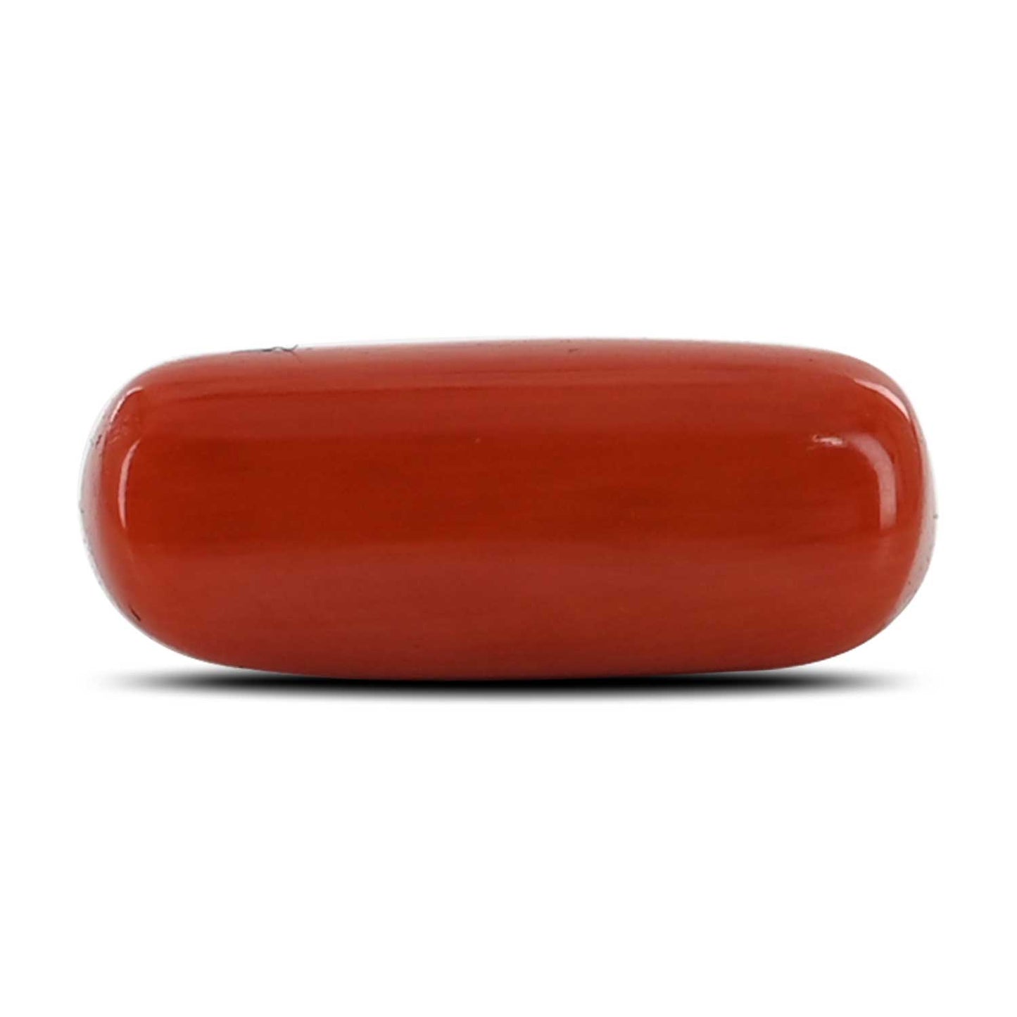Red Coral (Moonga) - 4.34 Carat