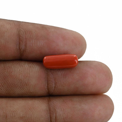 Red Coral (Moonga) - 4.34 Carat